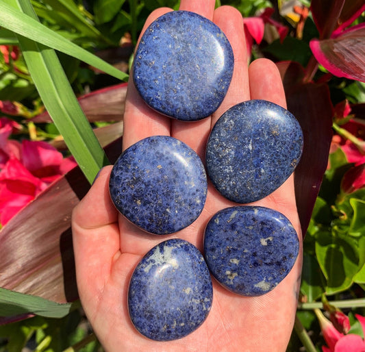 Mini Dummorterite Palm Stone