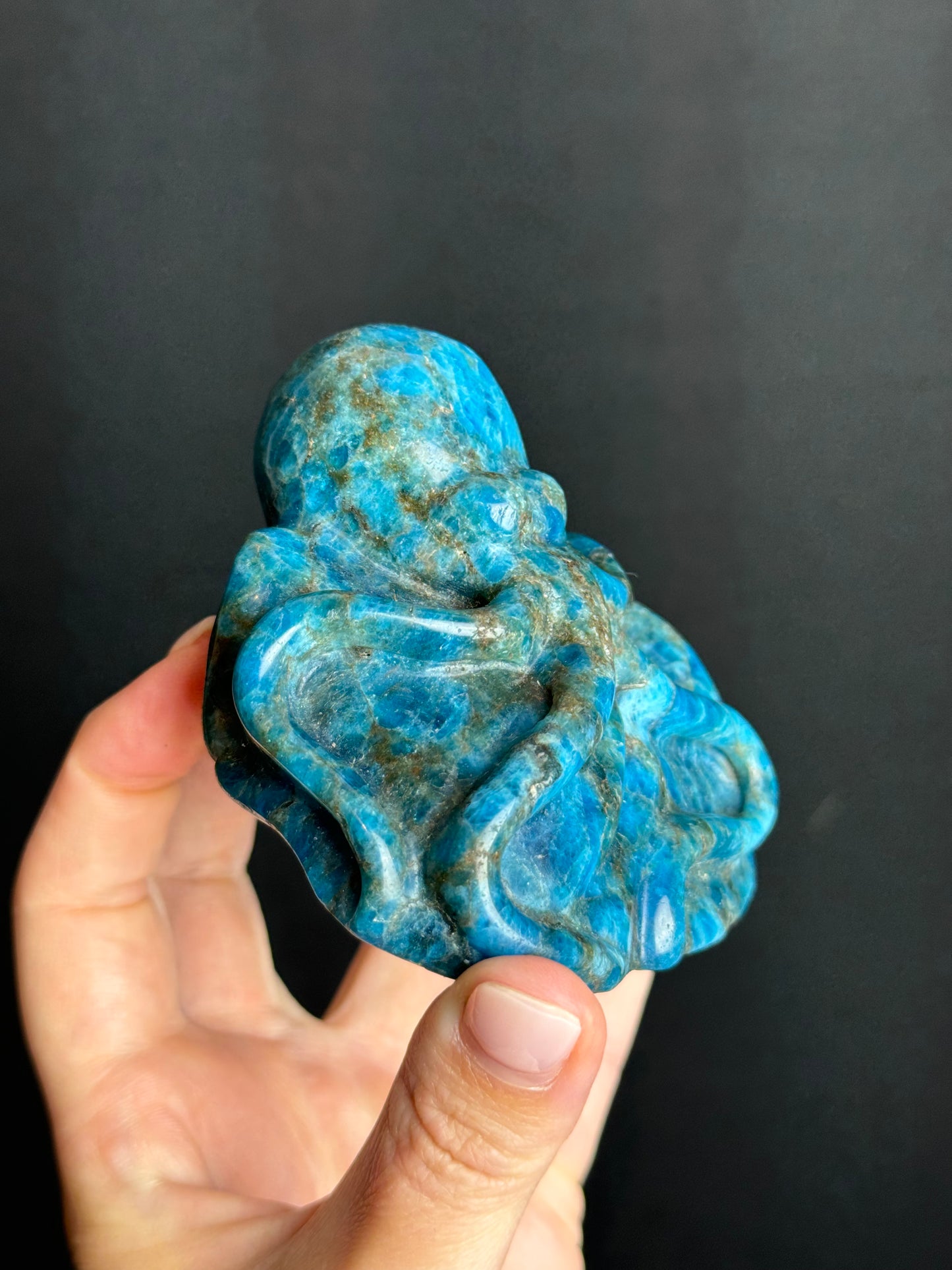 Blue Apatite Octopus