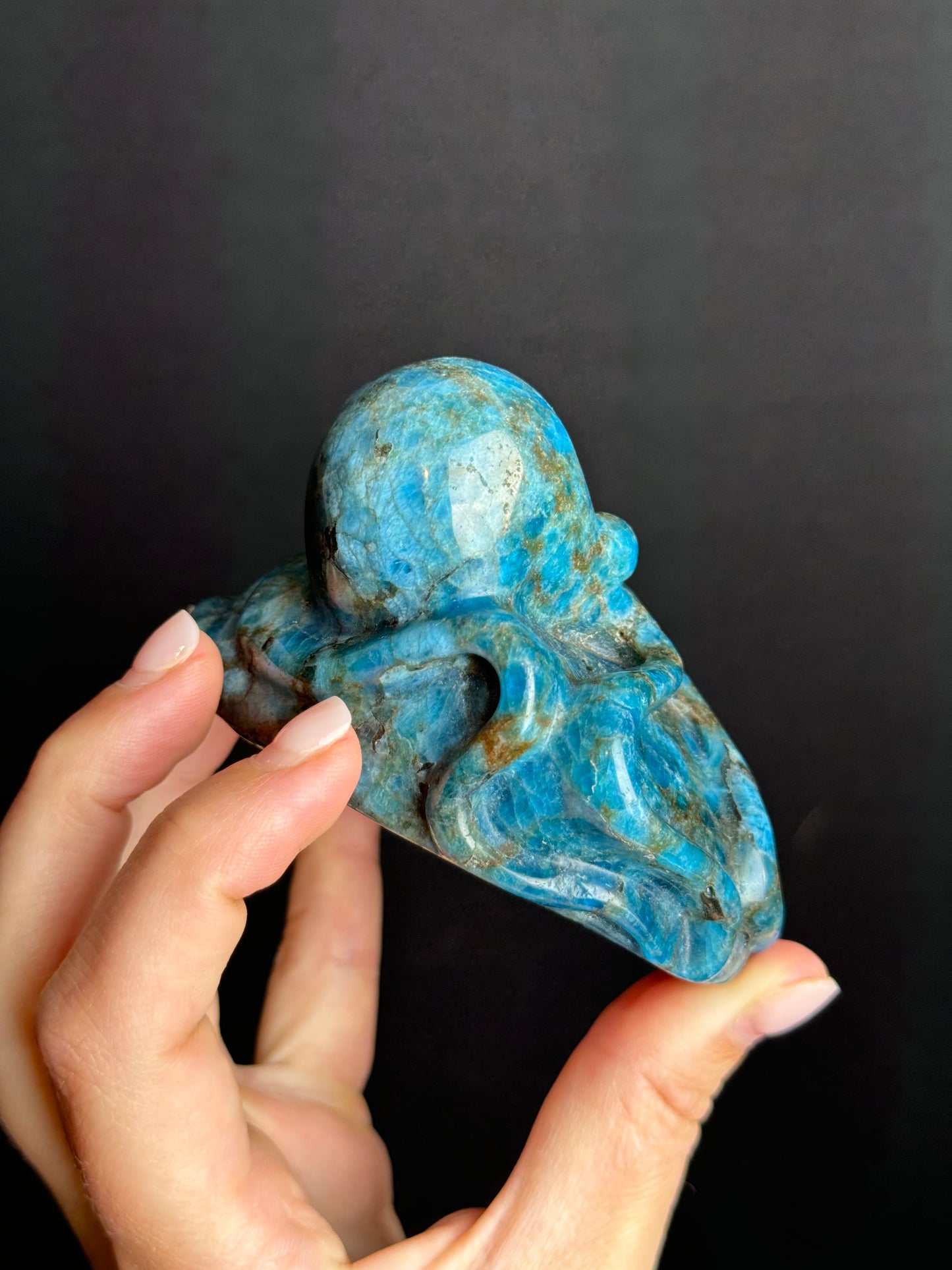 Blue Apatite Octopus