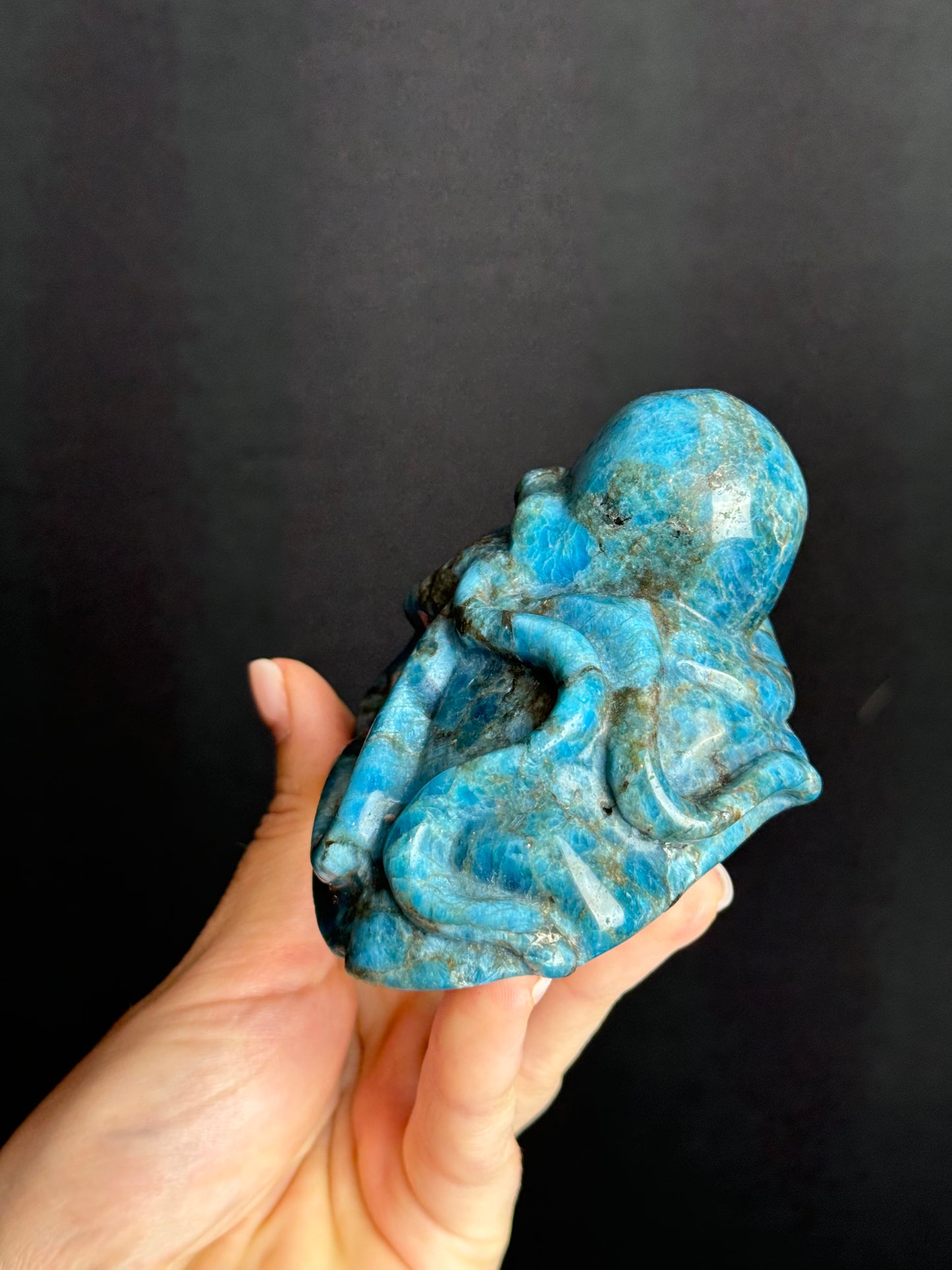 Blue Apatite Octopus