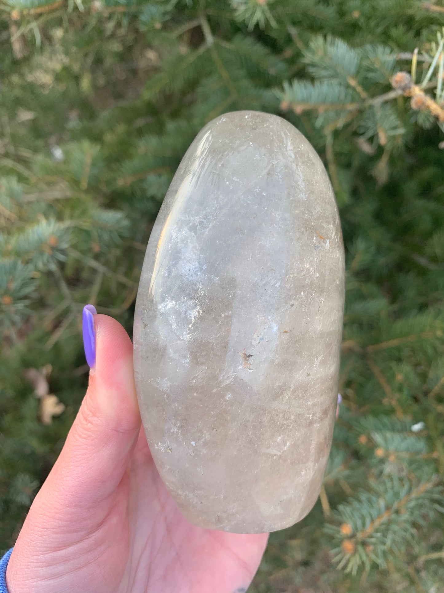 Clear Quartz with Garden Inclusions