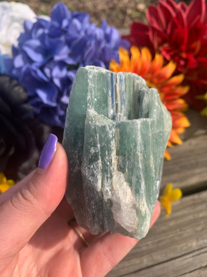 Green/Blue Kyanite