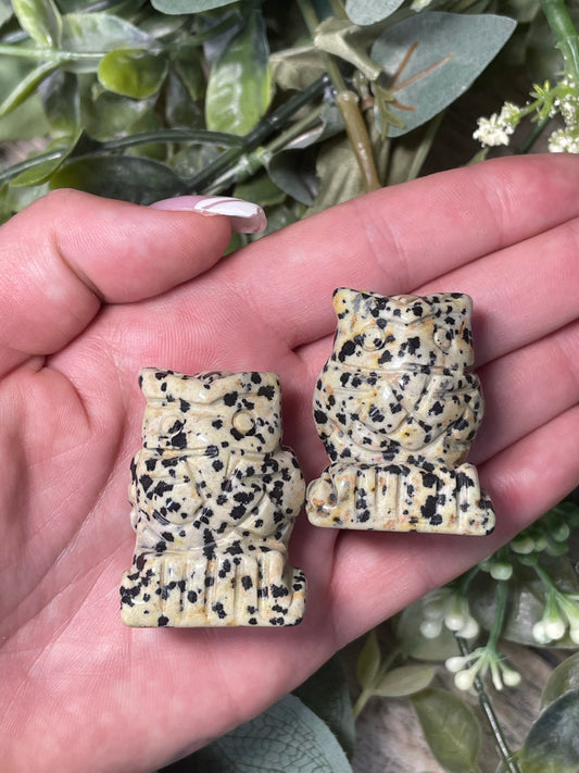 Dalmatian Jasper Owl