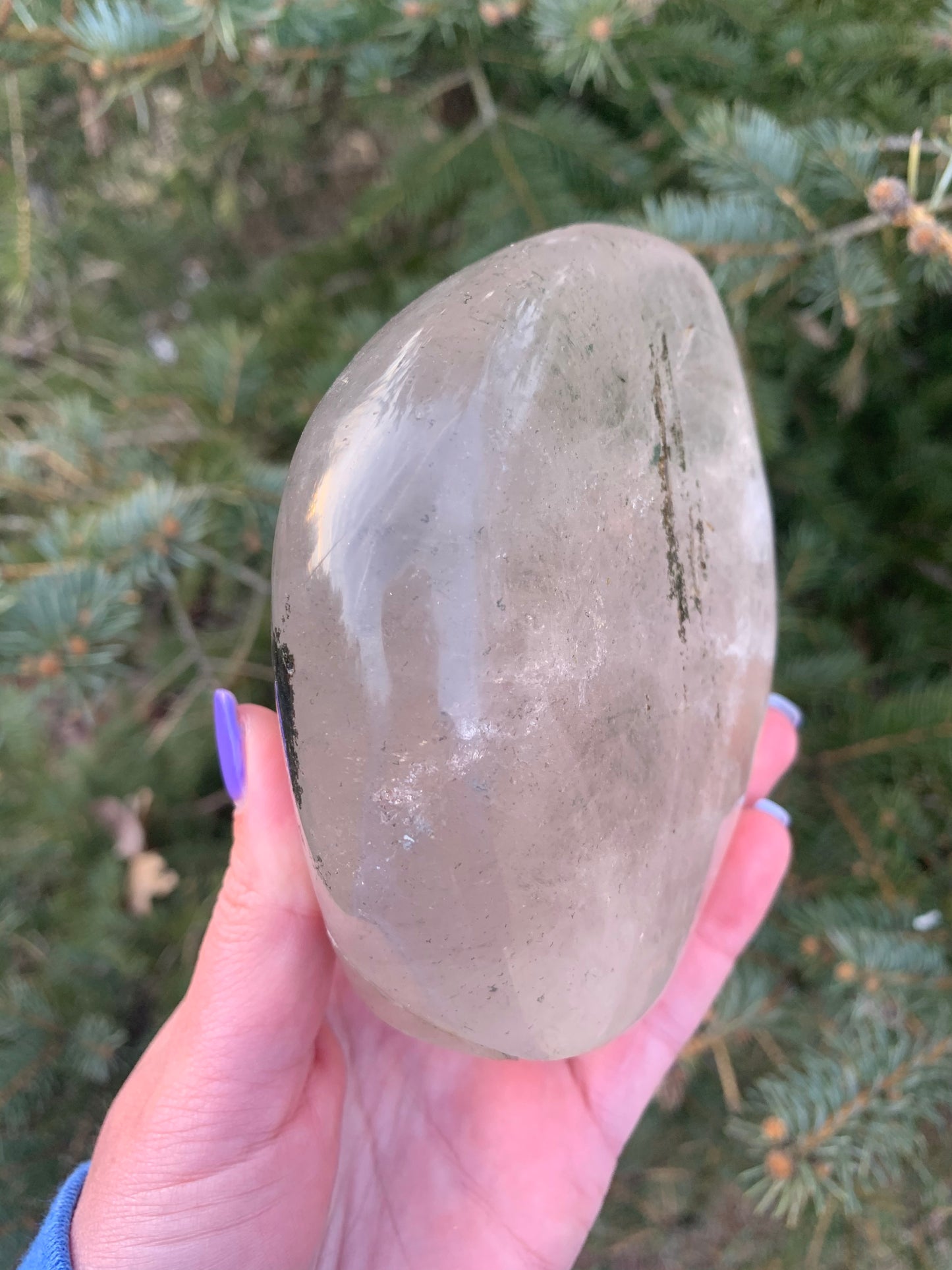 Clear Quartz with Garden Inclusions